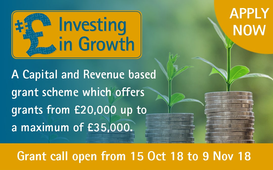 Expand your Business with the Investing in Growth Grant Fund Call