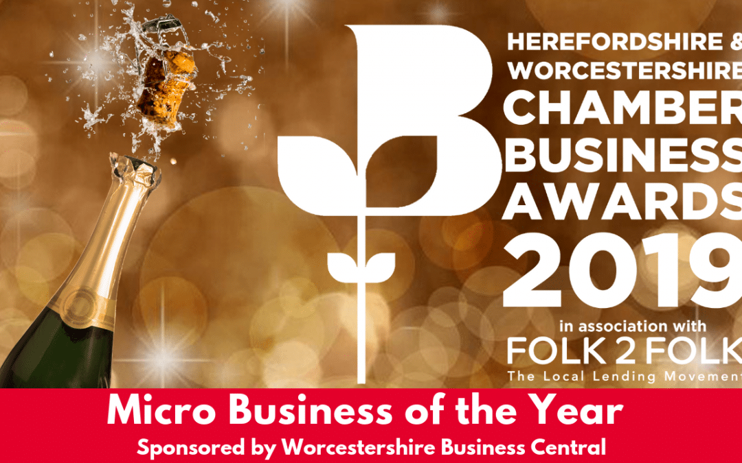 Could You Be The “Micro Business of the Year”?