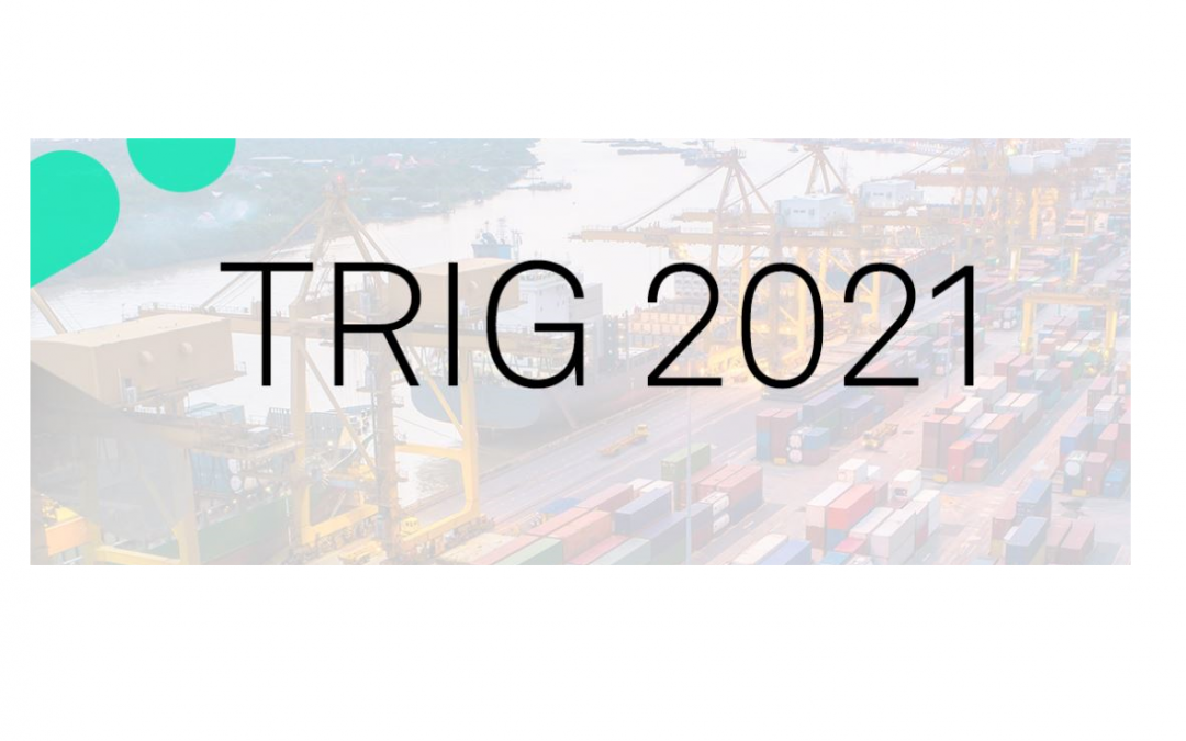 2021 Transport Research and Innovation Grant (TRIG 2021) Programme