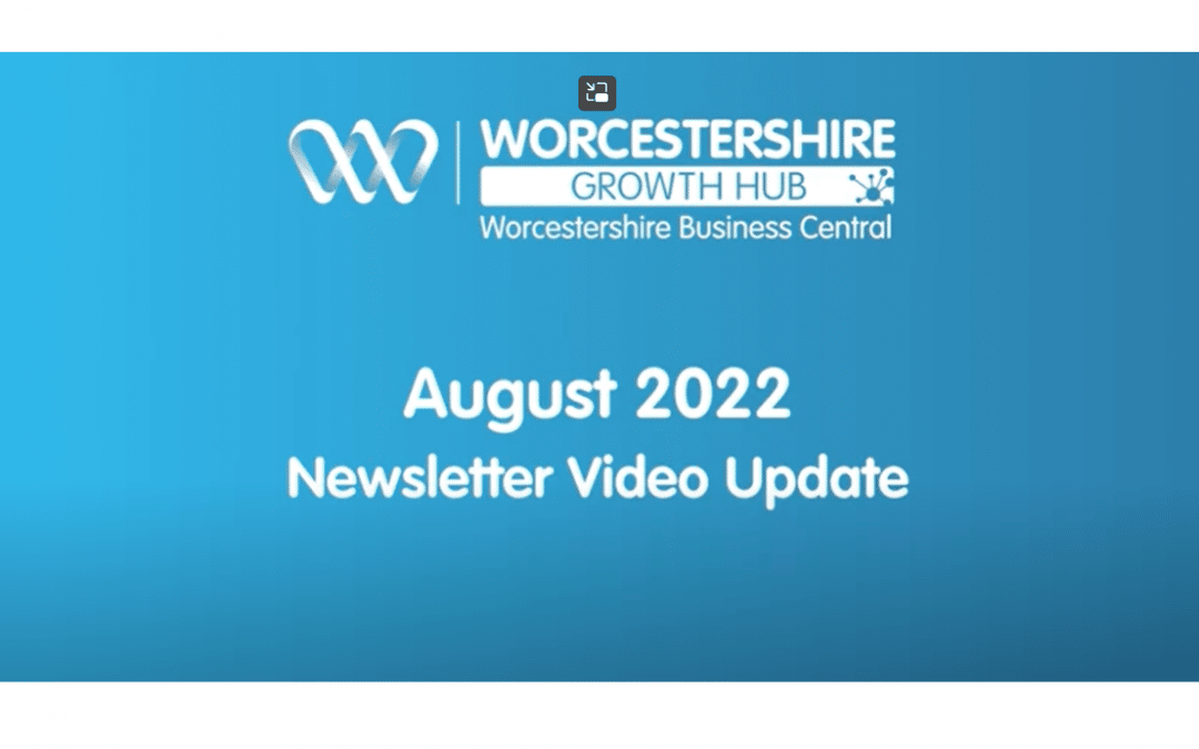 Business Update – August 2022