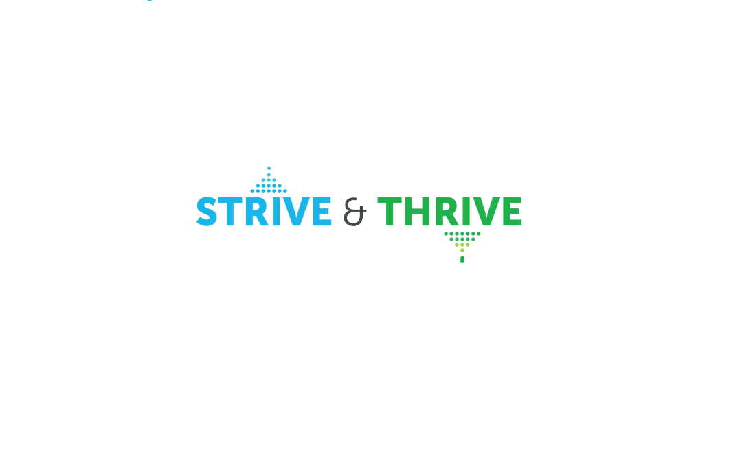 Strive and Thrive support launched for businesses