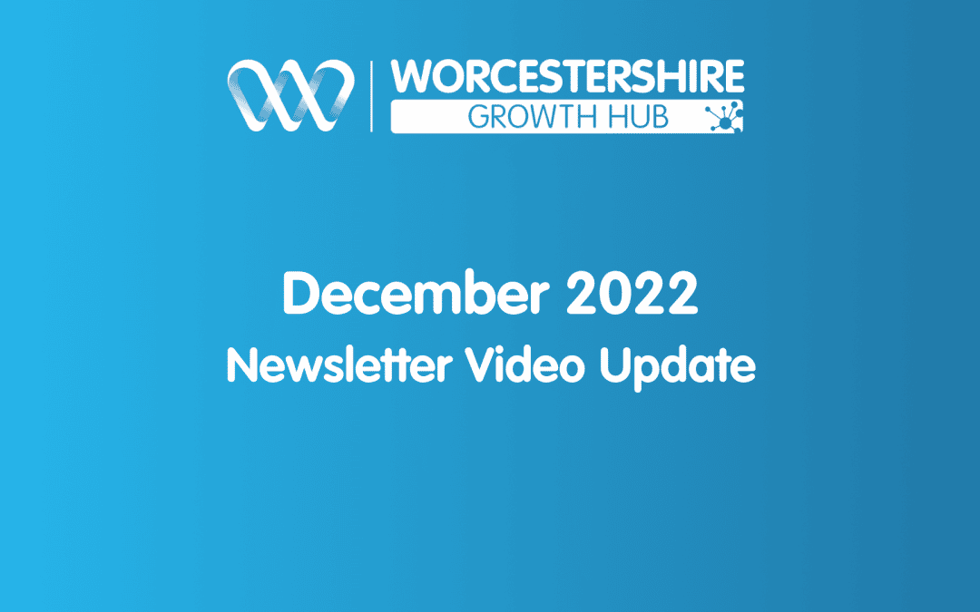 Growth Hub update – December 2022